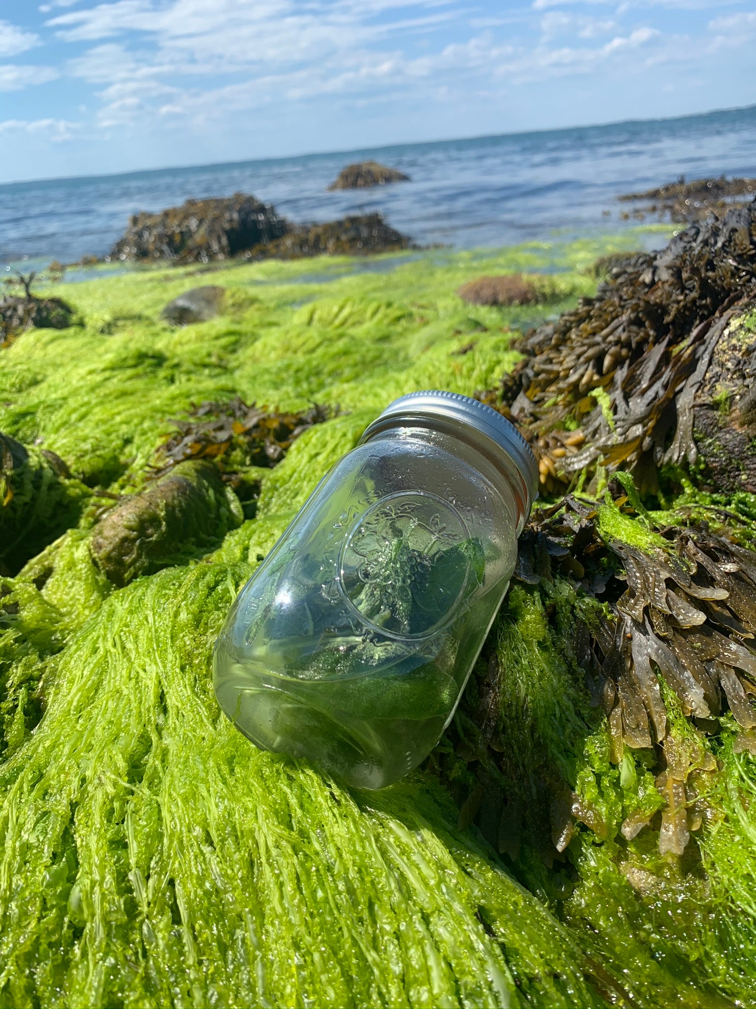 Soak Up The Sea This Summer