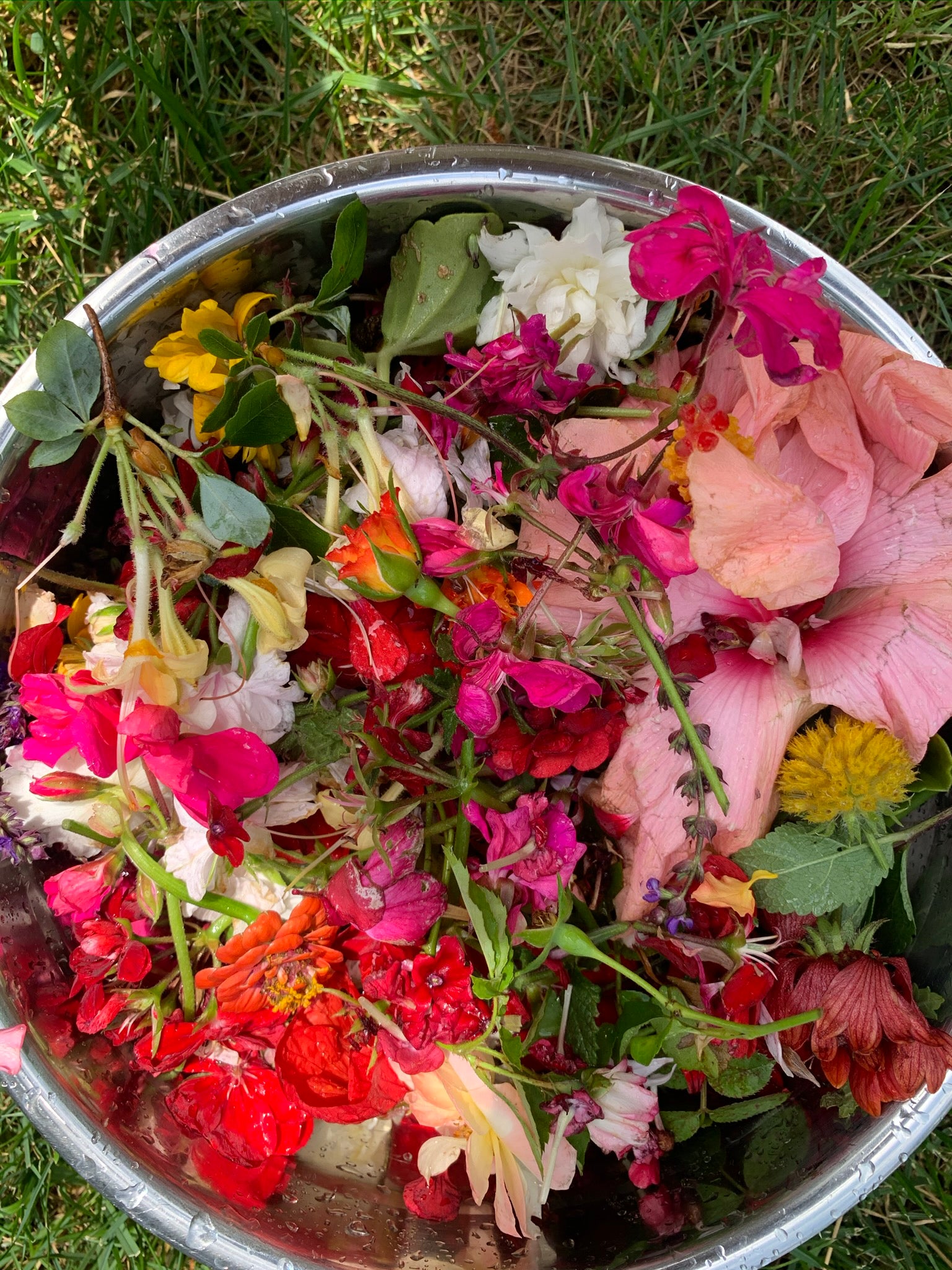 Ingredient Spotlight - What I use in my products