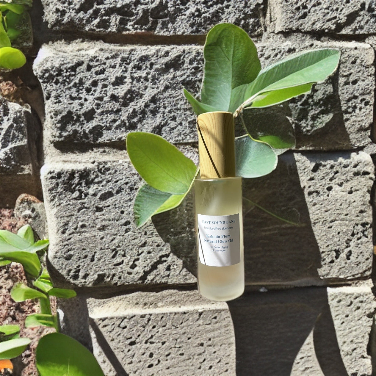 Kakadu Plum Natural Glow Oil